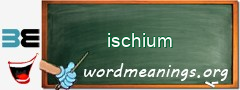 WordMeaning blackboard for ischium